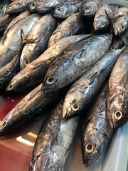 Obraz premium fresh fish at the market