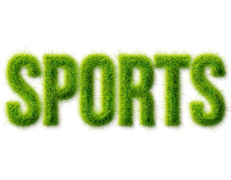 Sports word rendered in a realistic green grass texture isolated on a transparent background