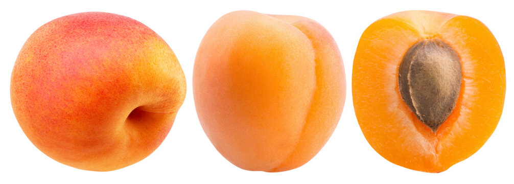 Three fresh apricots including one sliced with a large pit
