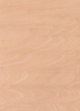 Authentic wood texture with organic wave pattern high quality scan 600 dpi