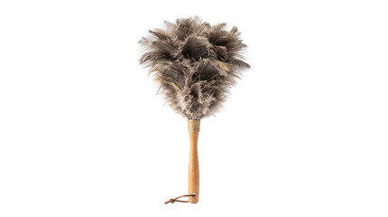 Brown ostrich feather duster with long wooden handle on white background