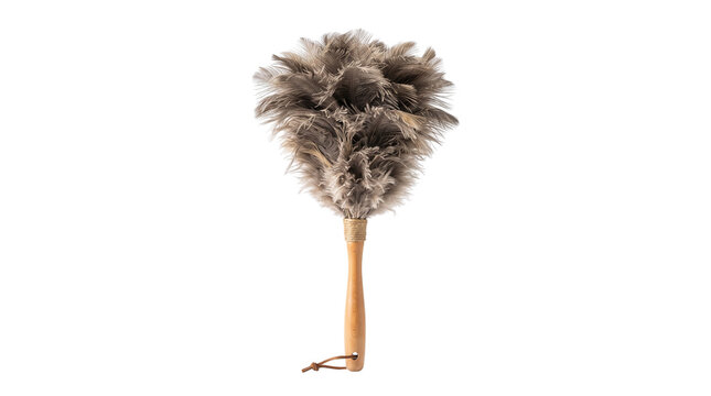Brown ostrich feather duster with long wooden handle on white background