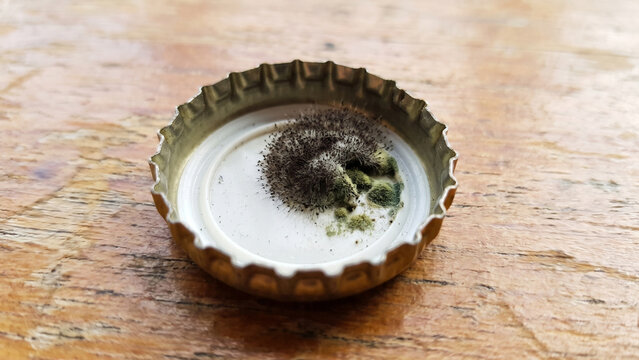 Bottle cap containing fuzzy black mold and greenish spores sits upside down on a rustic, textured wooden surface under bright natural light.