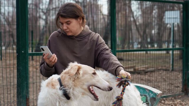Woman interacts with large white and tan dog in outdoor fenced area holding colorful rope toys while using her smartphone. scene features natural daylight lighting and background elements