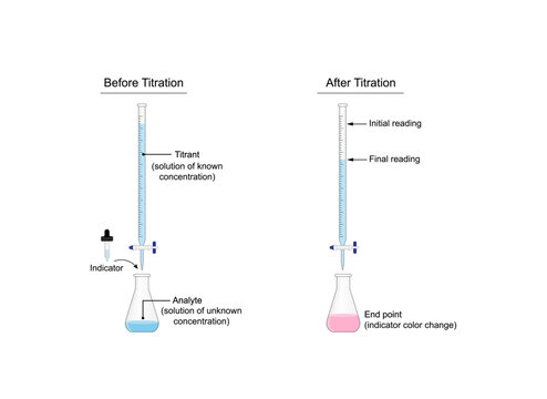 Titration procedure. Titrant in a burette and analyte in a conical flask. End point, indicator color change. Scientific experiment in the laboratory. Scientific vector illustration.