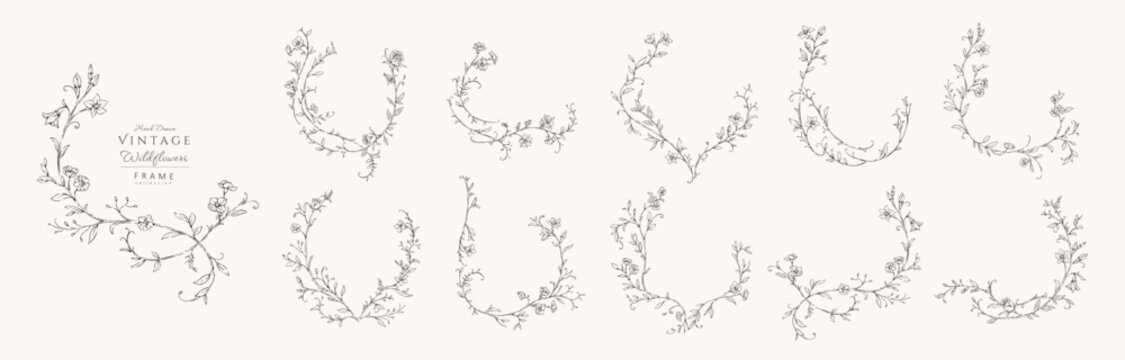 Set of floral whimsical or rococo frames for logo or wedding monogram. Vintage flowers and botanical calligraphy for packaging, greeting card