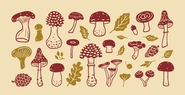 Set of vector hand drawn silhouette edible and poisonous mushrooms, autumn leaves. Sketch cutout paper fall elements. Leaf oak, chanterelle, amanita, champignon, cone, fly agaric, forest plants.