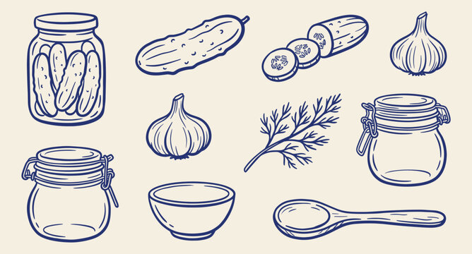 Hand drawn vintage vector set of pickling ingredients including cucumbers, garlic, dill, and empty jars