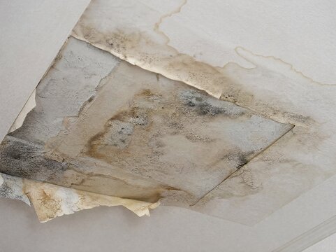 Ceiling water damage with peeling wallpaper and mold stains