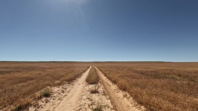 Forward movement along a dirt road through grasslands