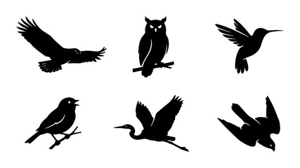 Fototapeta premium Diverse Bird Silhouettes Collection: Flying Eagle, Perched Owl, Hummingbird, Songbird, Heron, Raptor Icons