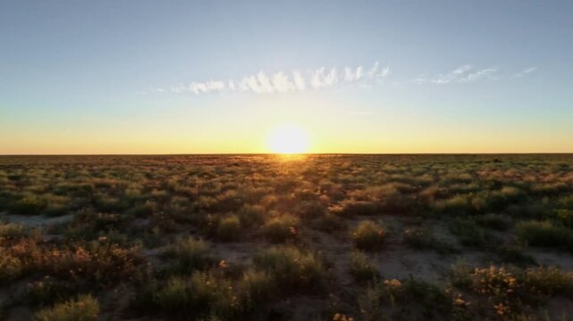 Low Angle Tracking Shot Over Low Vegetation at Sunset