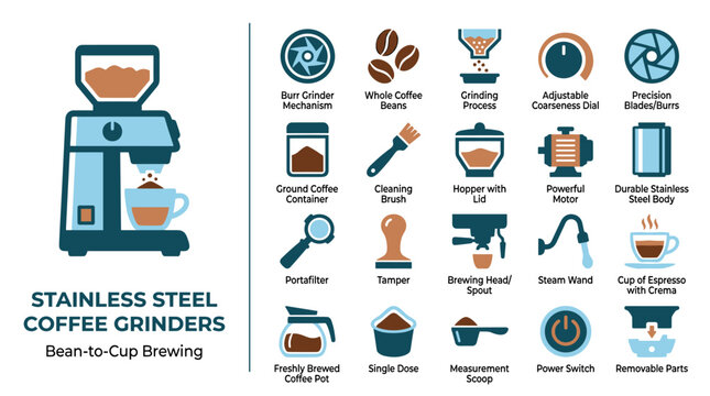 Stainless Steel Coffee Grinder Components and Bean to Cup Brewing Process Explained with Icons
