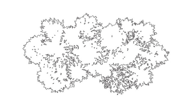 A collection of tree top view symbols for architectural and landscape design plans. Black and white line drawing illustrations for mapping and site plans
