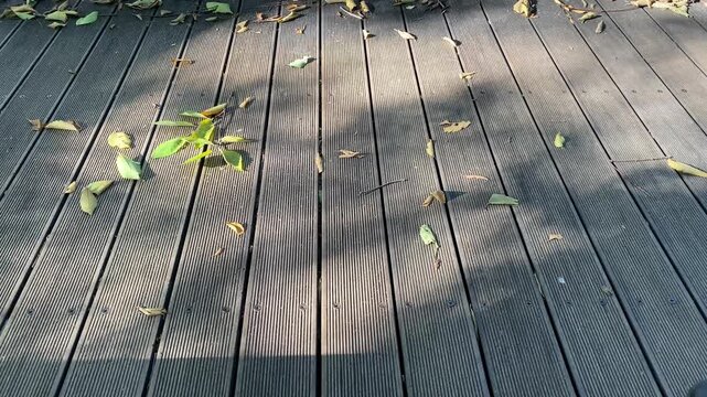 Tree branch shadows gently swaying in the wind on a rustic wooden boardwalk path