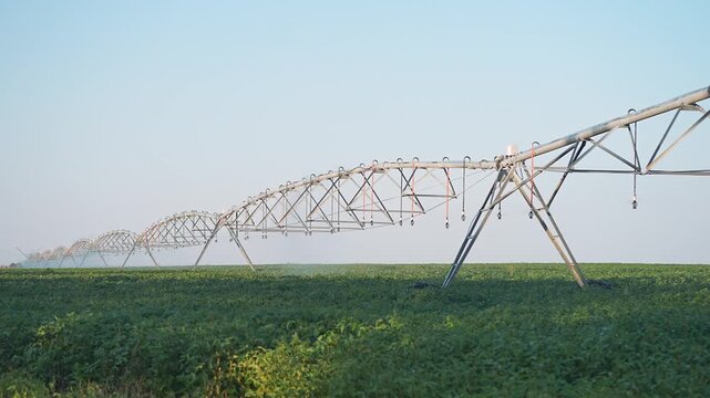 Irrigation equipment stands tall field. Farming machine supplies water by sprinkler. Agriculture needs watering every day. Sprinkler lines stretch across field. Technology system enable smart farming.