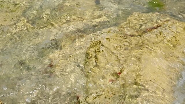 Clear Water Flowing Over Moss Covered Rocks