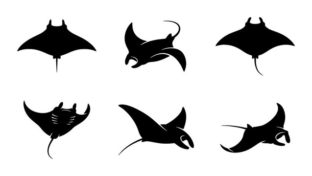 Manta Ray Silhouettes, Marine Life Vector Icons, Ocean Wildlife Graphics, Aquatic Animal Set