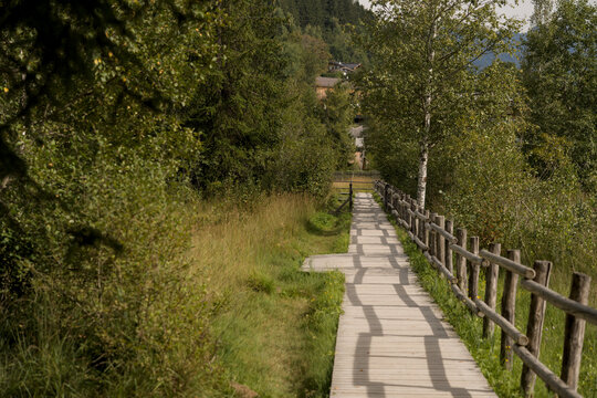 Holzweg am Schwarzsee