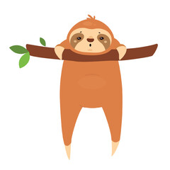 Fototapeta premium Hanging tropical sloth. Lazy jungle animal, arboreal slow moving mammal vector illustration