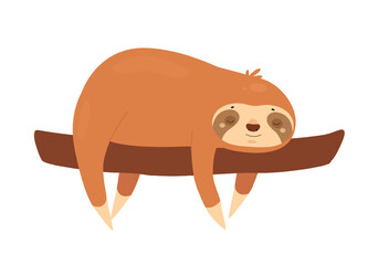 Fototapeta premium Sleeping sloth on tree branch. Jungle lazy bear, slow moving animal vector illustration