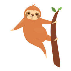 Fototapeta premium Climbing sloth animal. Tropical jungle lazy bear, slow moving mammal vector illustration