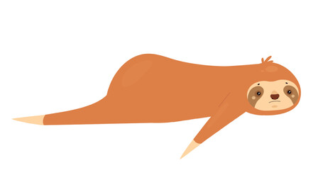 Fototapeta premium Laying down sloth animal. Lazy jungle bear, tropical arboreal mammal vector illustration