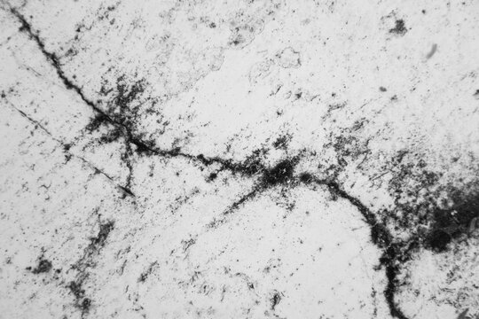 grunge abstract rough-textured concrete wall background.