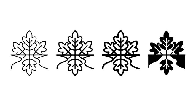 Oak Leaf Monograms, Botanical Emblems, Nature Icons, Vector Graphics Set