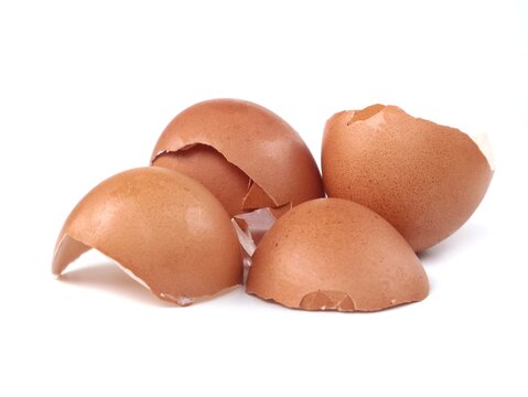 Group of brown broken eggshells isolated on a pure white background. Close up detailed shot of empty egg shells with cracked edges. Suitable for food, nature, recycling, and texture themes