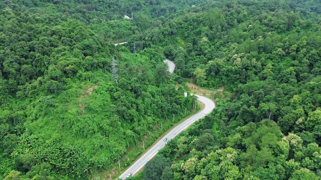 top view of car in green forest with road and cars passing by. Eco-friendly transport. Concept of transportation, travel,