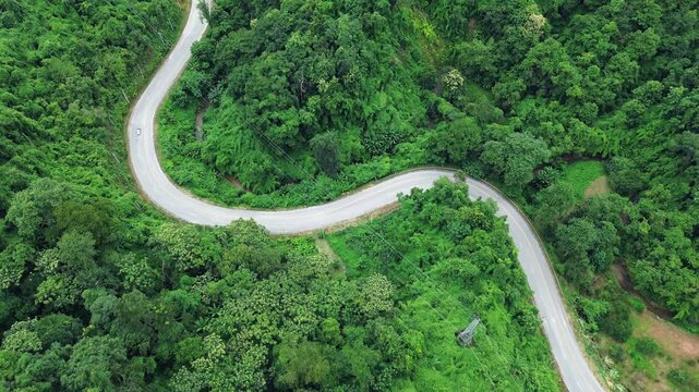 top view of car in green forest with road and cars passing by. Eco-friendly transport. Concept of transportation, travel,