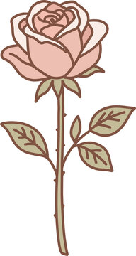 Pink rose flower vector illustration, single rose stem icon