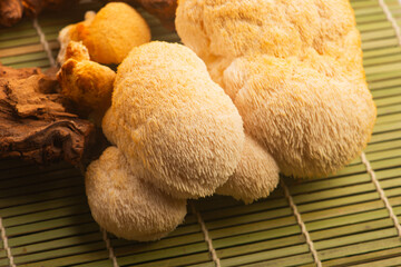 Fresh Lion's Mane Mushroom.  Hericium erinaceus © joanna wnuk