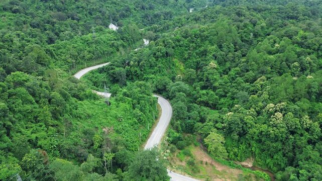 top view of car in green forest with road and cars passing by. Eco-friendly transport. Concept of transportation, travel,