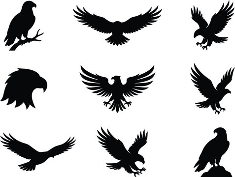 Set of black eagle silhouettes in various poses including flying perched and head profile isolated on white background