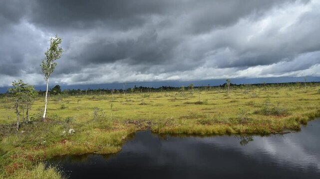 Soomaa National Park (Estonian: Soomaa rahvuspark) is a national park in south-western Estonia. Soomaa National Park is a Wilderness Capital of Estonia. Soomaa translates as Land of Mires