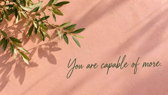 Olive tree branch casting shadows on a pink textured wall with the text you are capable of more