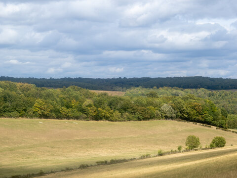 Rolling farmland and woodland under dramatic cloud sky, Kent countryside, Halling area, UK.