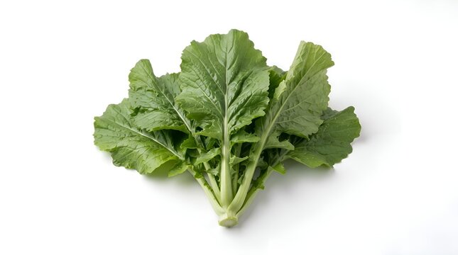 Fresh green mustard greens isolated on white background.