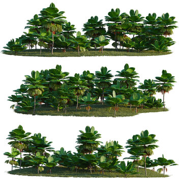 Licuala grandis tree line, Forest Edge, Backdrop cutout, isolate transparent background, 3D Render of Tropical Palm Trees - Low Poly Assets for Game Design and Landscape Visualization