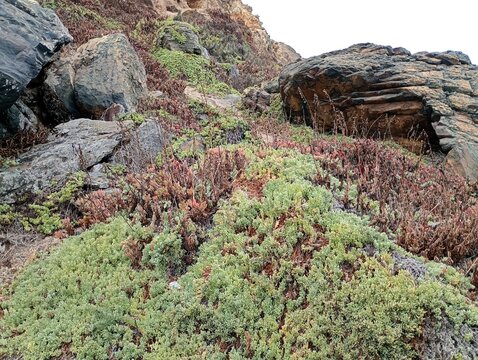 Rocas 3