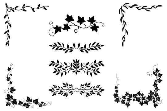 Elegant vintage floral border design with leaves and berries