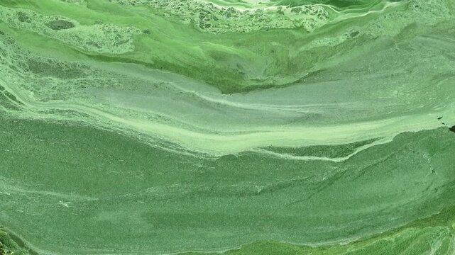 Aerial photography captures polluted green wastewater with unusual surface patterns, reflecting industrial environmental challenges, ecosystem protection, water management and sustainability.
