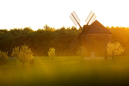 View of a historic brick windmill standing in a field during golden hour with warm sunlight filtering through the trees in Chvalkovice, South Moravian Region, Czechia.