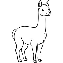 Fototapeta premium Cute vicuna hand drawn outline illustration
