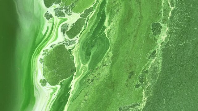 Drone perspective reveals green wastewater from an industrial facility, highlighting modern concerns about water contamination, ecological protection, pollution control and responsible production.

