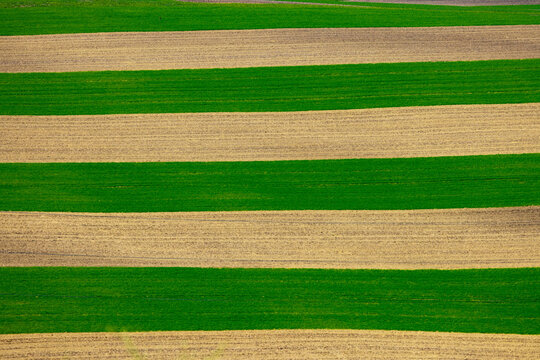 View of striped agricultural fields with alternating green crops and brown soil in Brno, South Moravian Region, Czechia.
