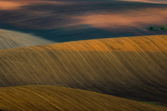 View of rolling agricultural fields with textured soil and soft shadows in the countryside of Brno, South Moravian Region, Czechia.