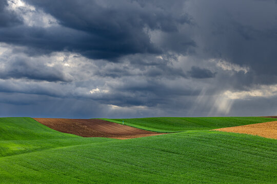 View of rolling agricultural fields with vibrant green crops and brown soil under a dramatic stormy sky with sunbeams breaking through in Brno, South Moravian Region, Czechia.